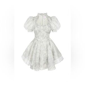 The Austen Silk Satin Portrait of a Lady Dress NWT